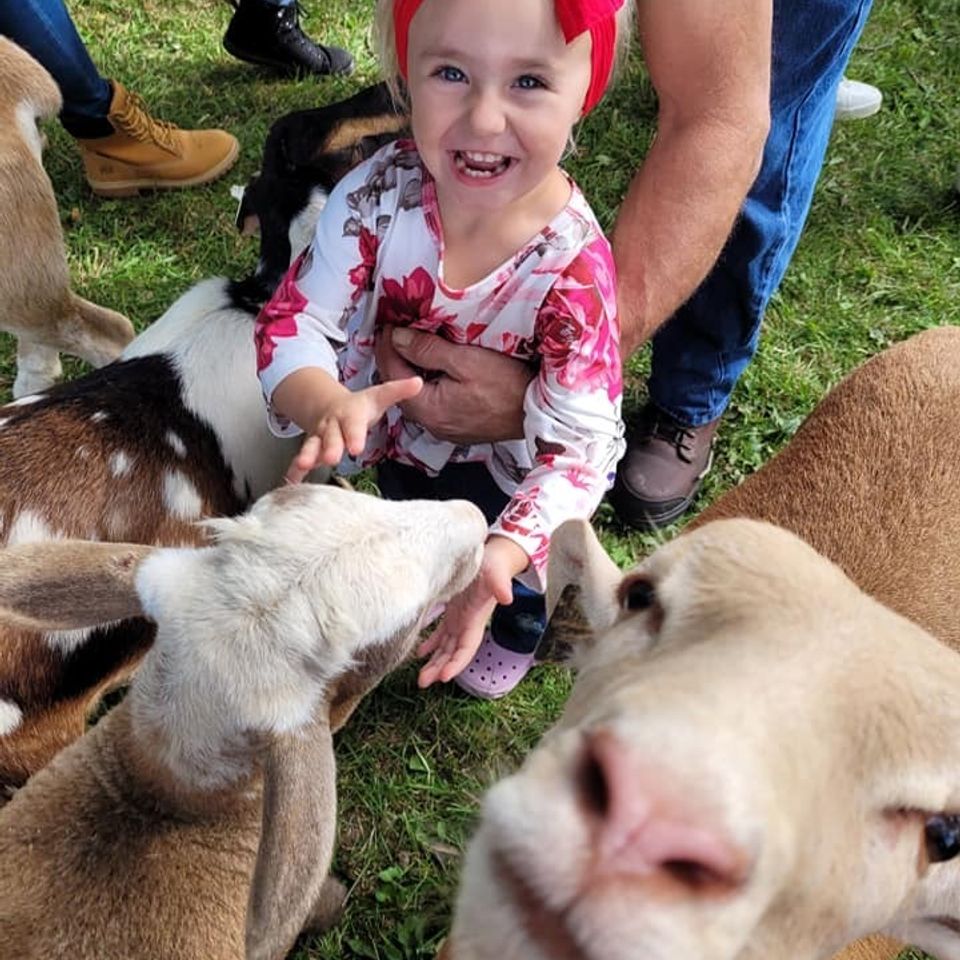 Petting zoo