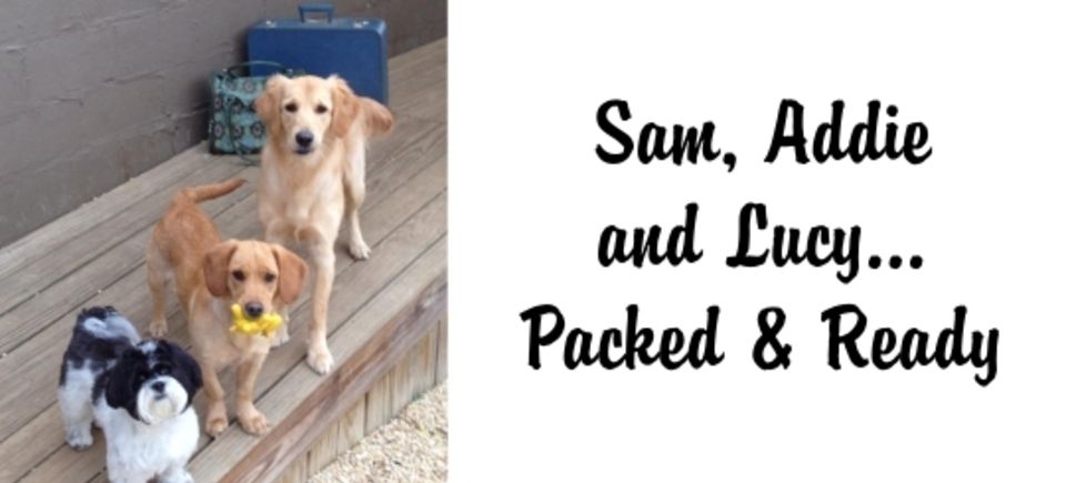 Friendships   sam addie lucy20150621 16882 14yksds