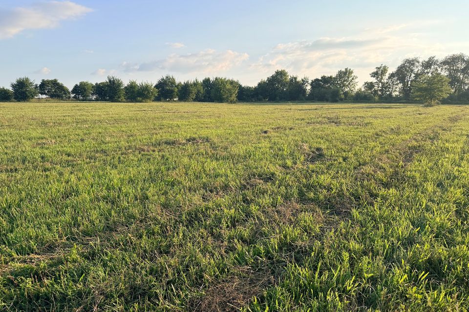 Went 72 20 large open field   largest span