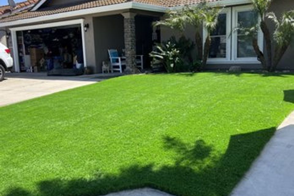 Artificial turf front yard