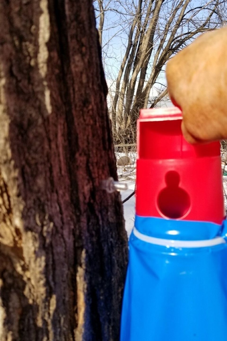 Sap zip