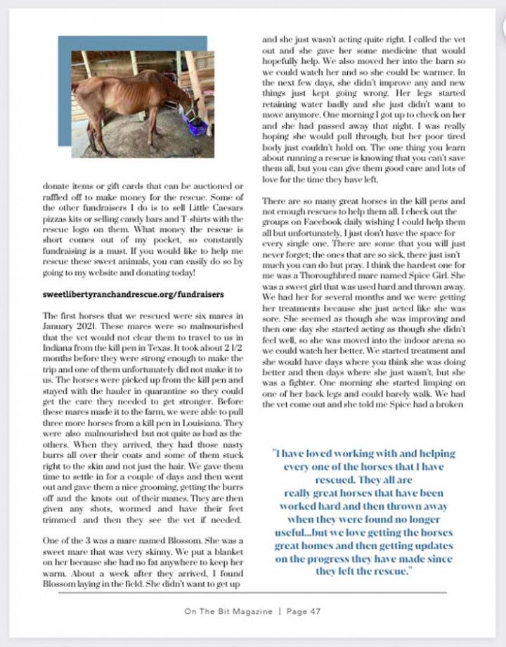Sherrysarticle3