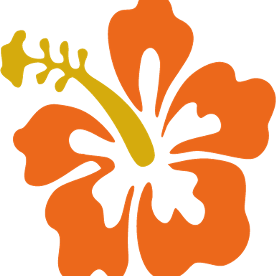 Beach   flower orange 6