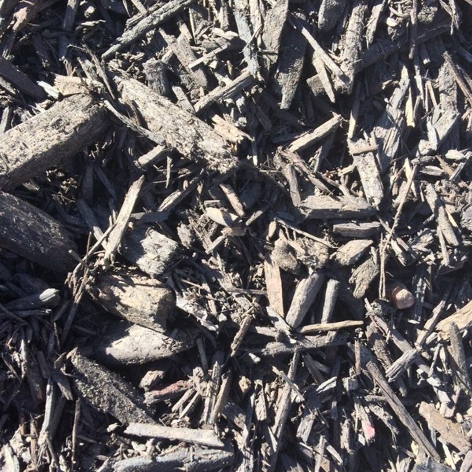 Chocolate 20mulch20180315 11559 1cwe0vv
