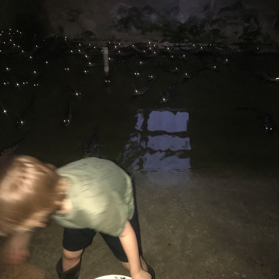 Nightfeed