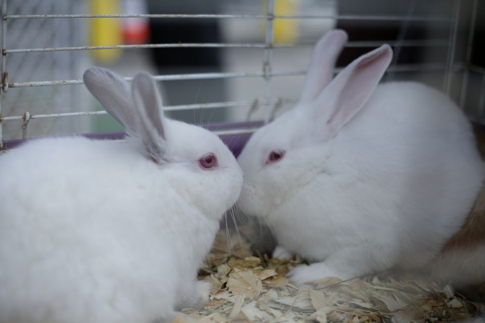 Adobestock 487449517