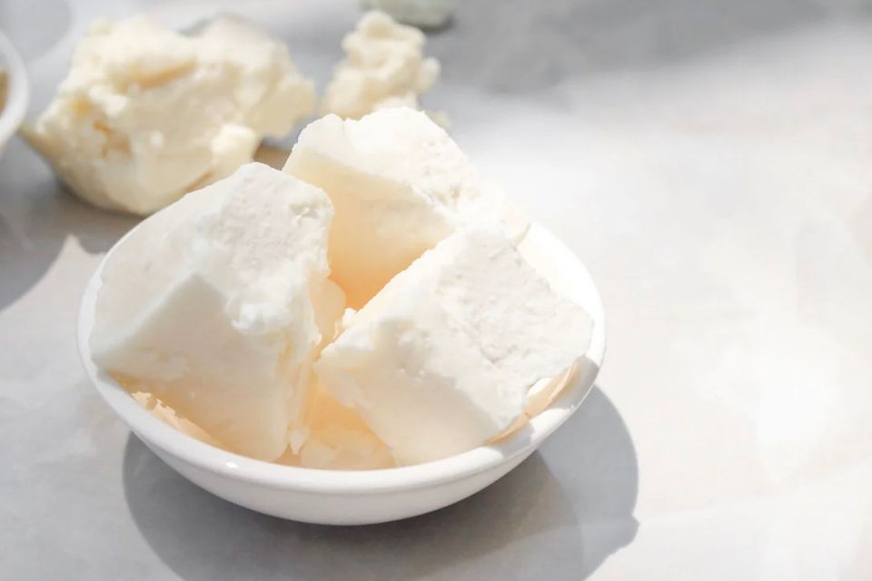 Our favorite plant butters and their benefits