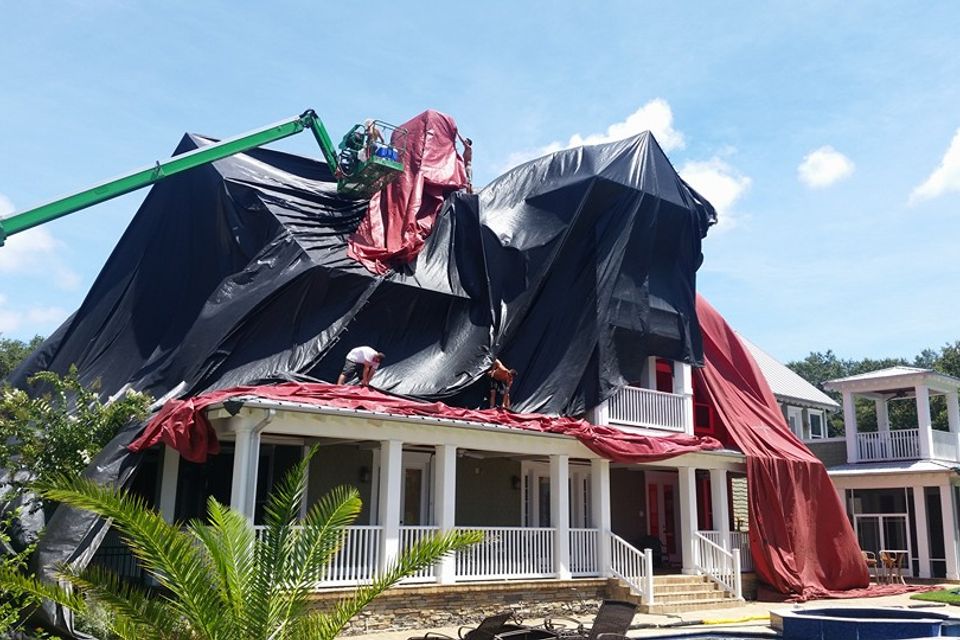 Fumigation 1