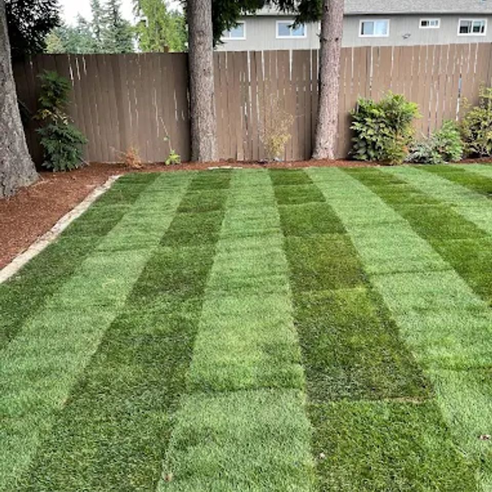 2022 08 28 (6) original