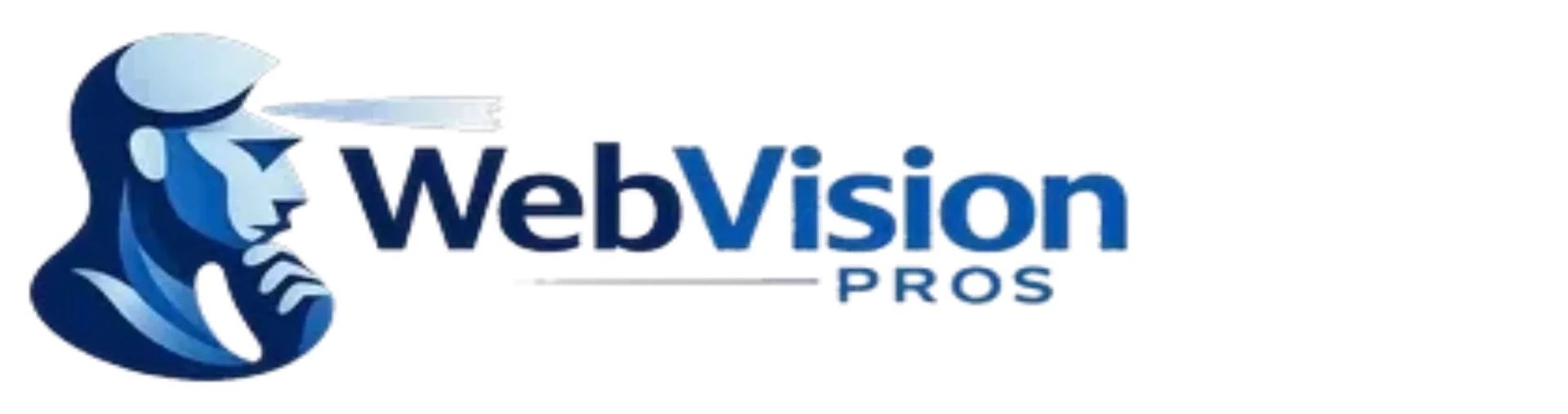 WebVision Designs, LLC. WebVision Pros™ is a brand of WebVision Designs, LLC.