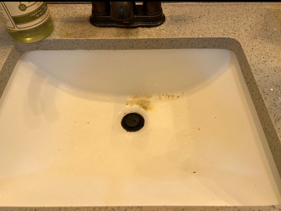 Img 1573