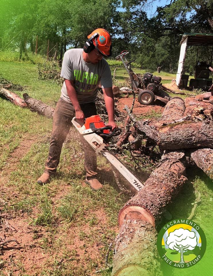 Sac Tree and Stump Equipment