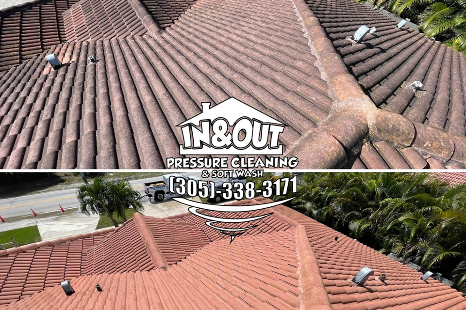 Roof cleaning