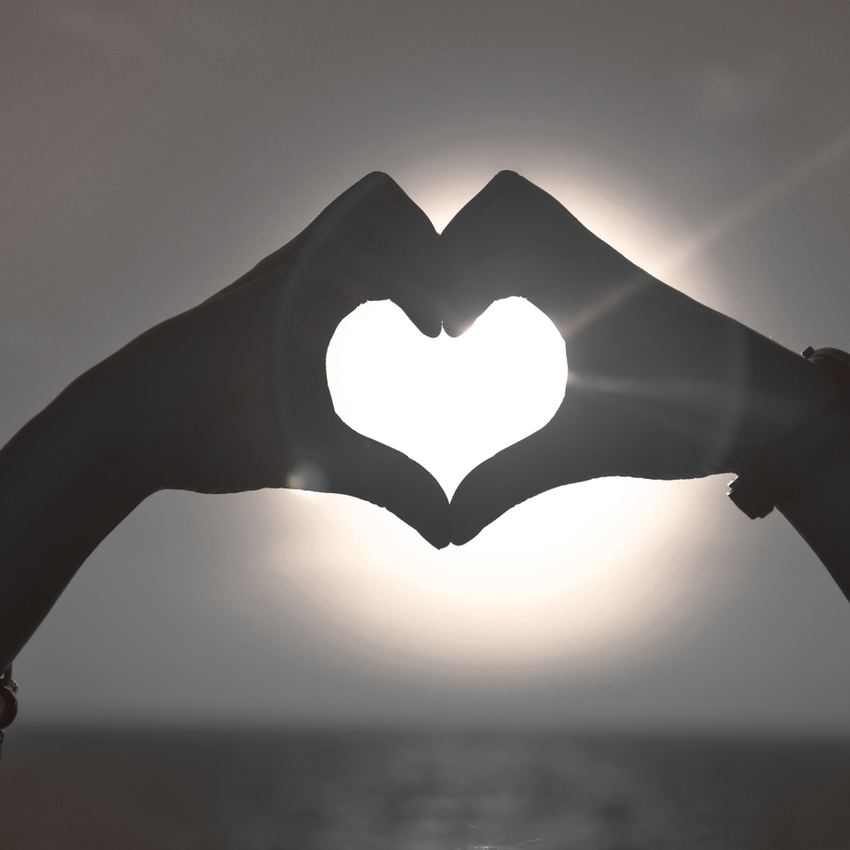 Landscape image template for website (3)