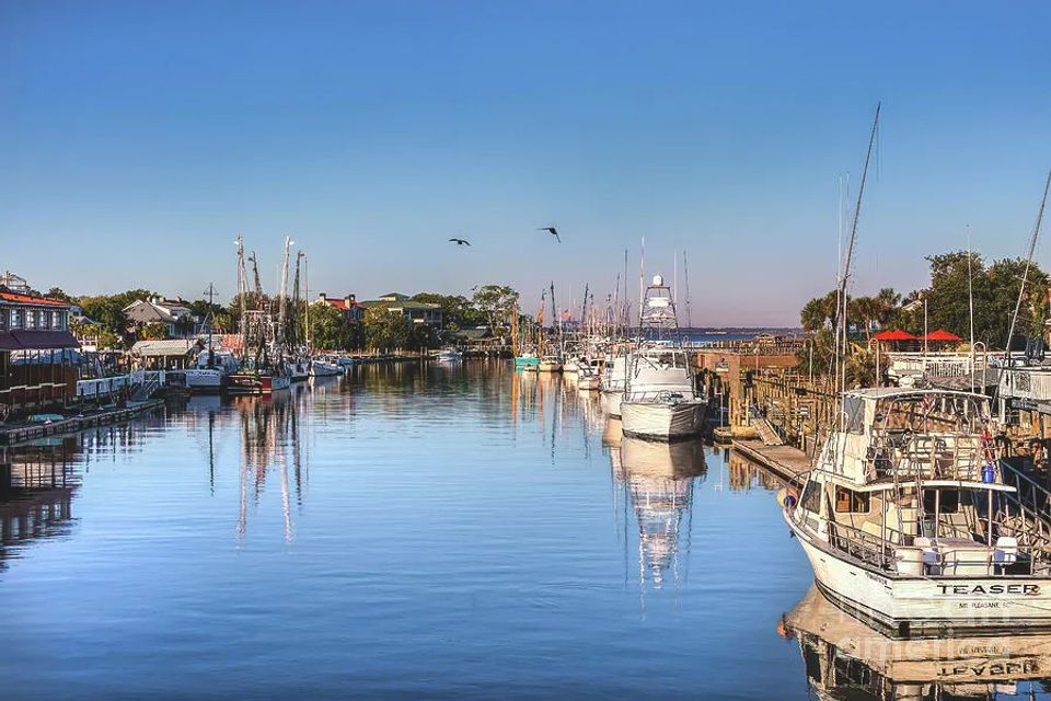 Shem creek harbor tour charleston original