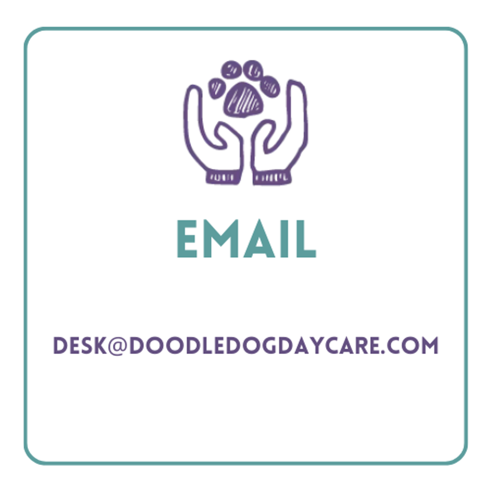 Doodle dog email box