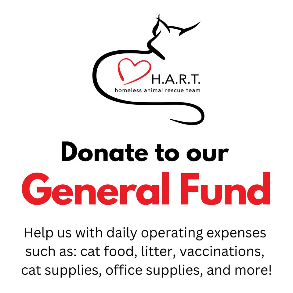 Donate to (instagram post)