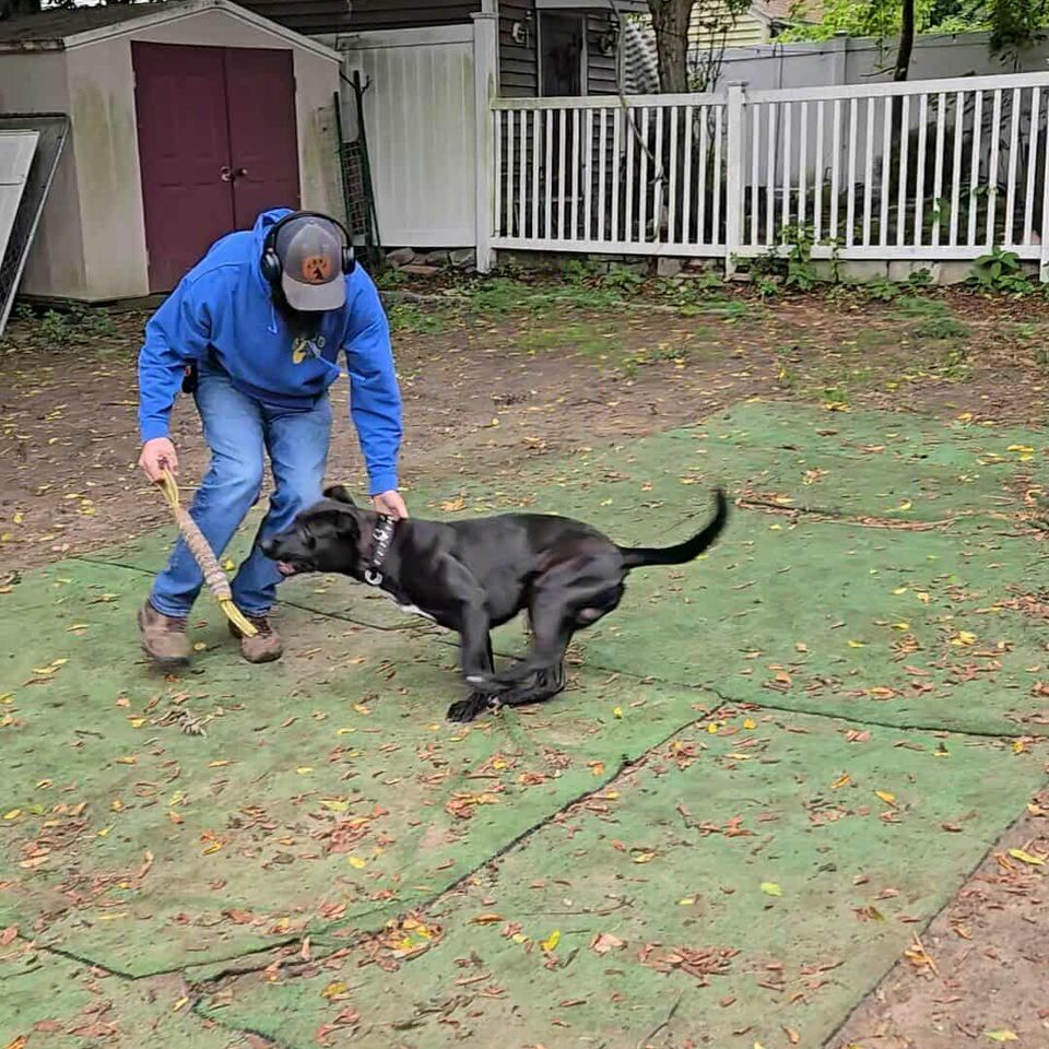 Messenger creation 1777350526320827