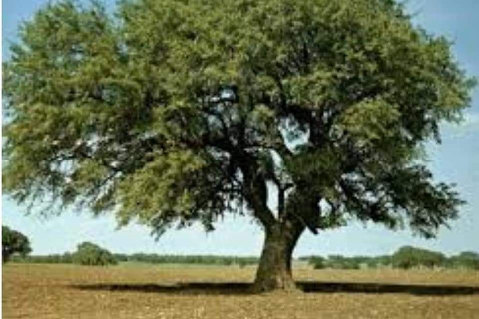 Fb img 1675077072736