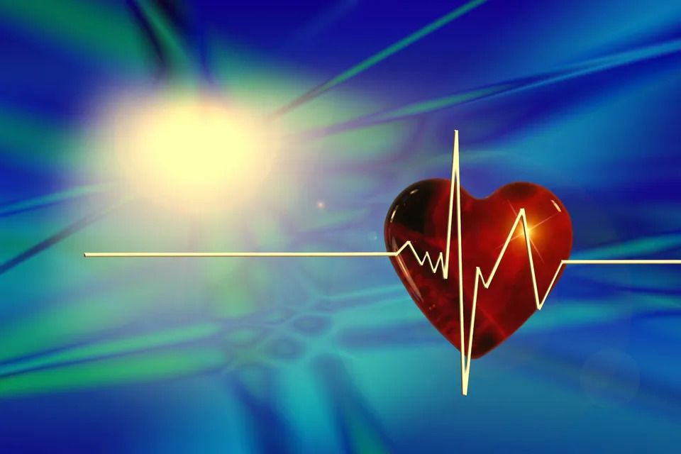 Heart ekg