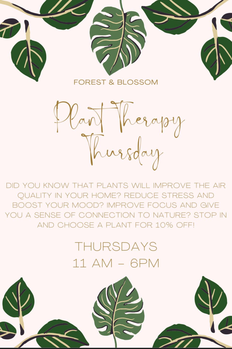 Plant Therapy Thursday at Forest and Blossom