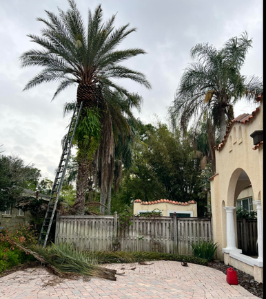 Screenshot 2025 10 20 082025