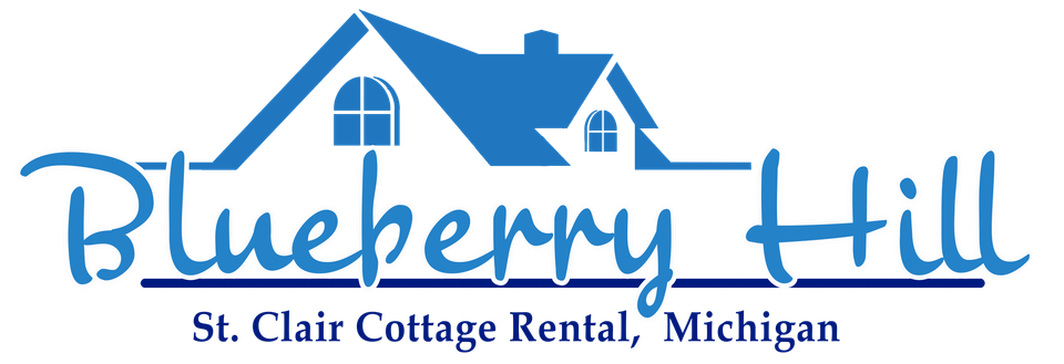 Blueberry hill logo
