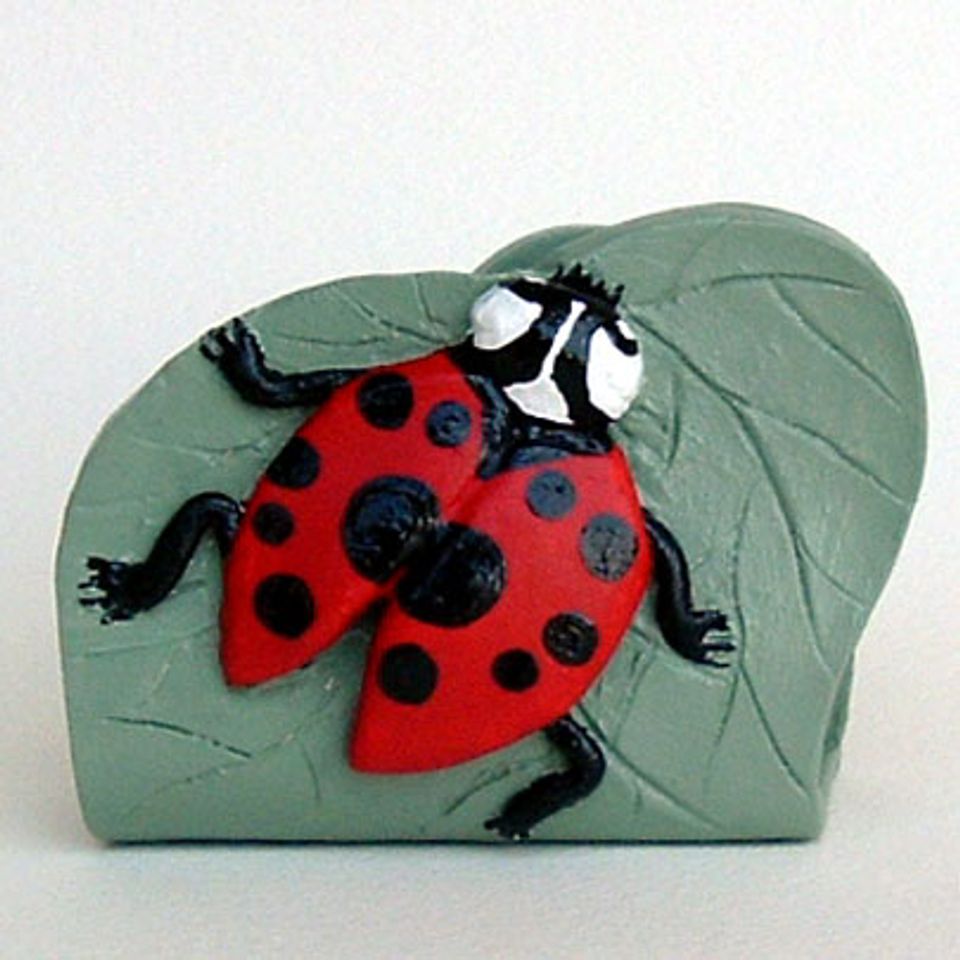 Ladybug