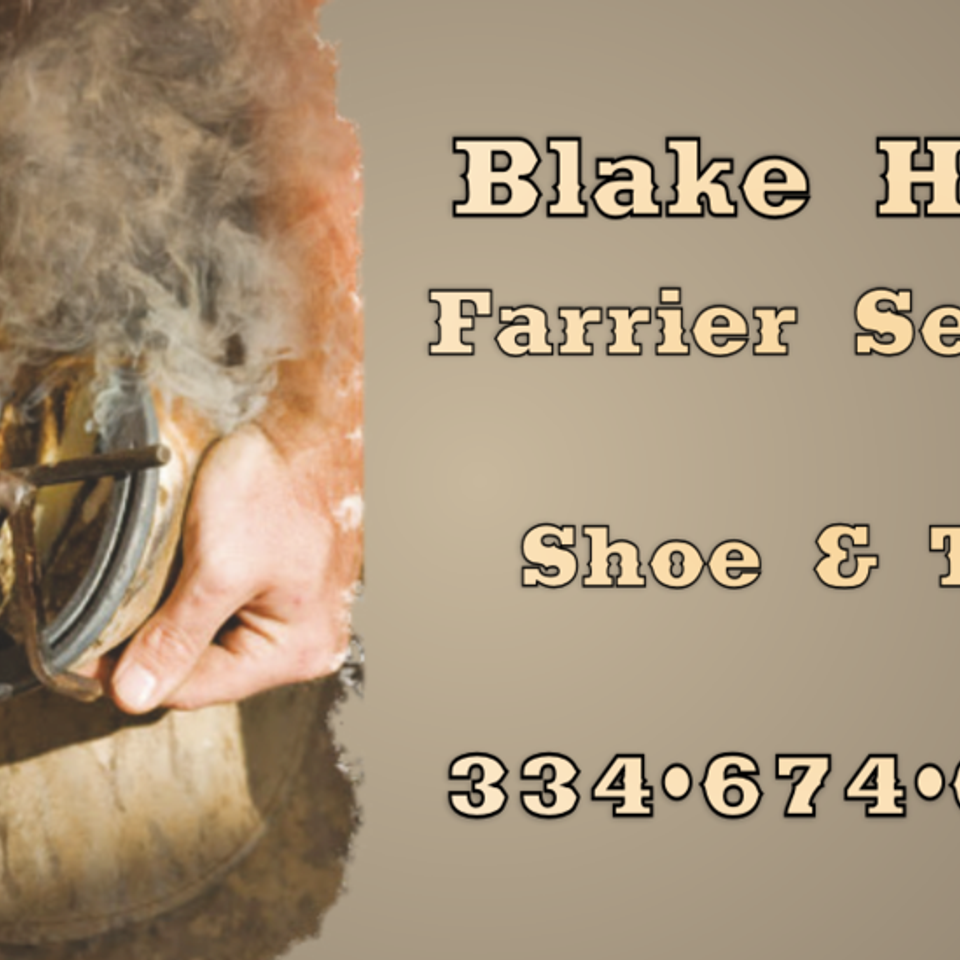 Blake20150519 13013 1l0fwwo