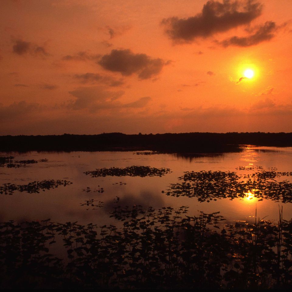 Loxahatchee sunset 1
