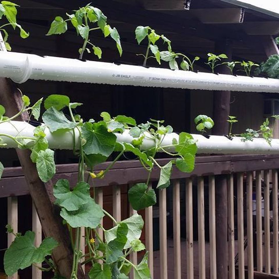 Nft porch3