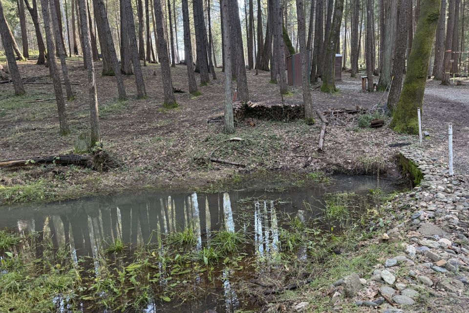 Creek cabin