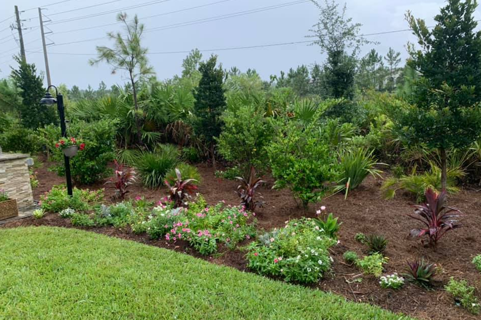 Screenshot 2025 10 20 082058