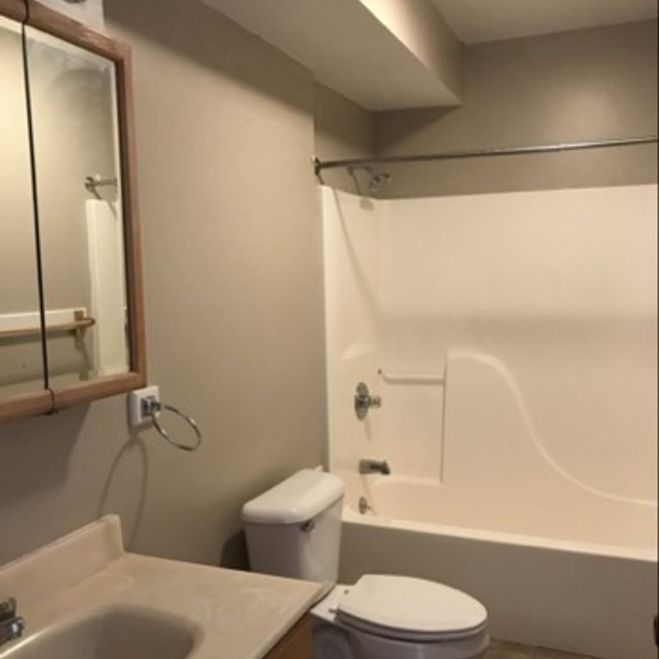 Img 3946