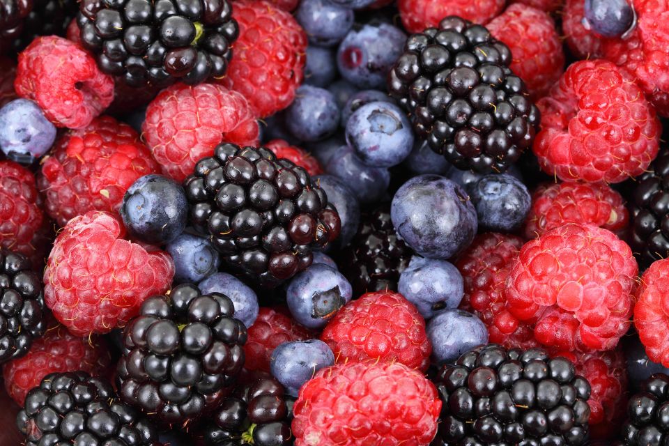 Berries g9760776d0 1920