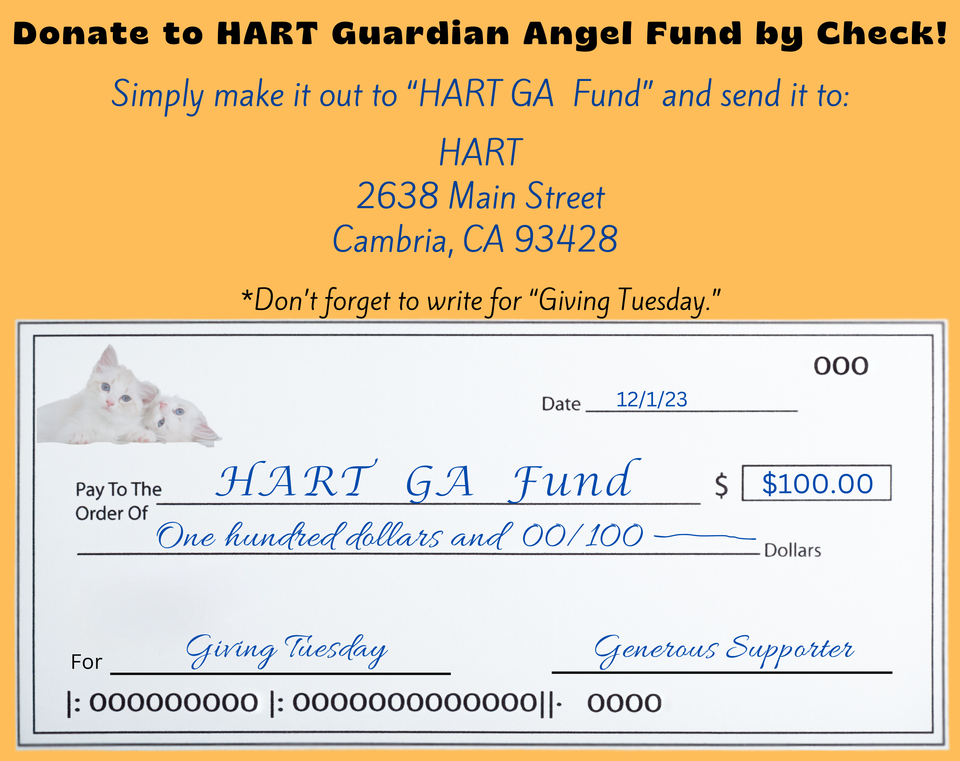 Guardian angel fund check