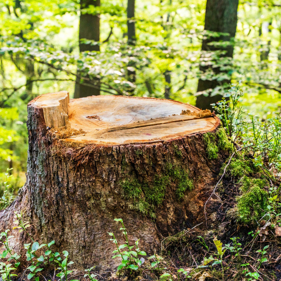 Screen shot 2026 02 27 at 11.16.35 am