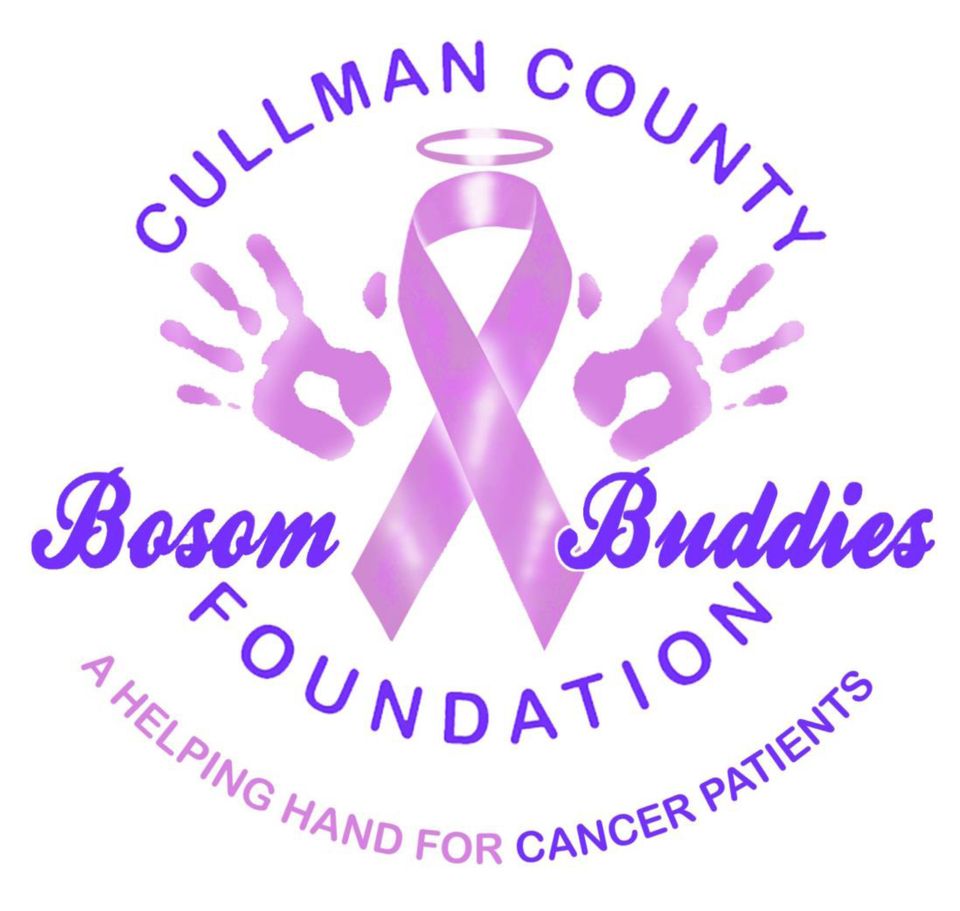 Bosom buddies logo