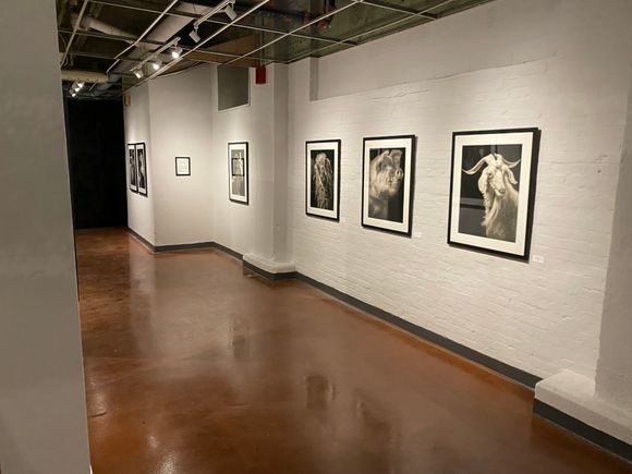 Horan exhibit photo 4