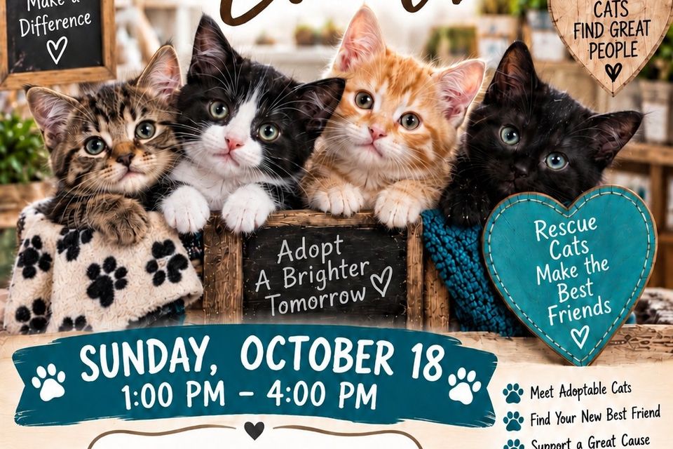 Tn tails adoption 2026