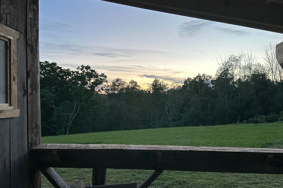 Img 3970