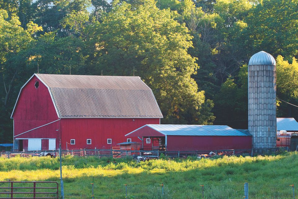 Barn and silo
