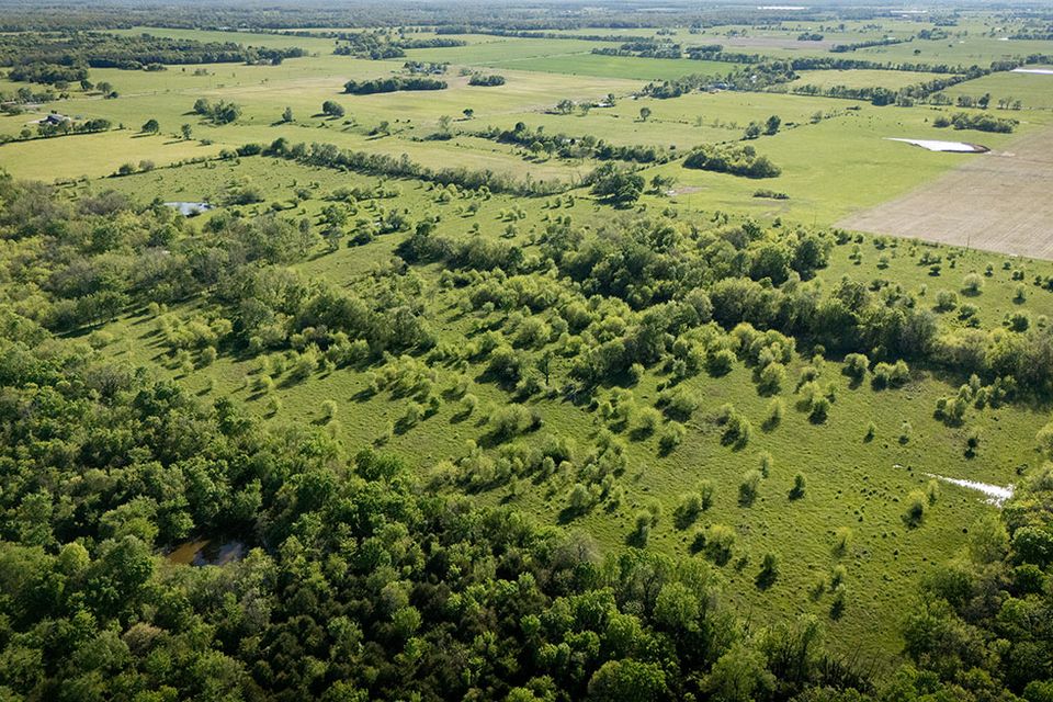 For sale wentworth missouri 72 61 acres 8