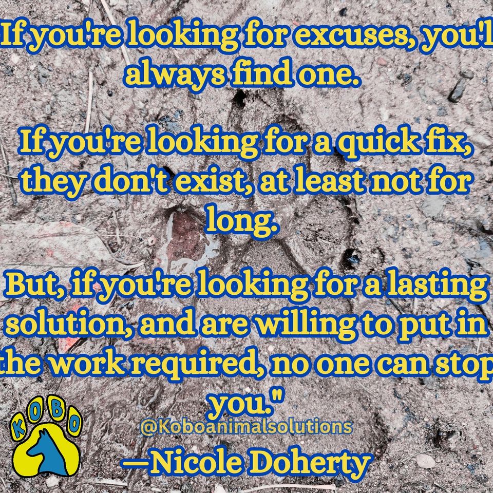 If you're looking for excuses  you'll always find one. if you're looking fo 20251125 061338 0000 2
