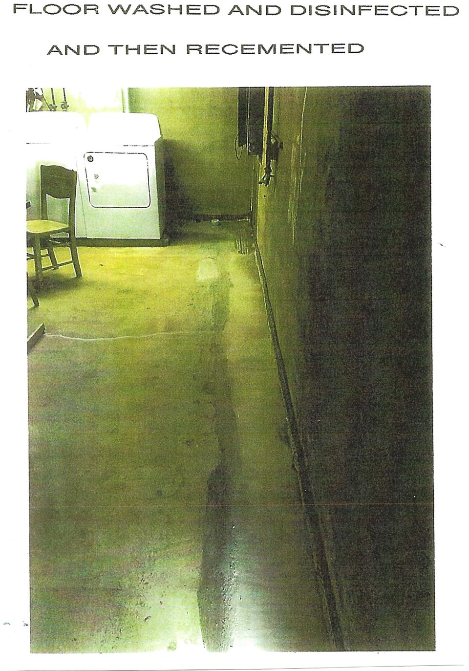 Floor washed and disinfected and then recemented