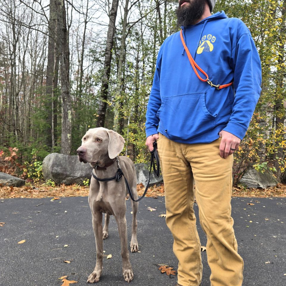 Chris website intro pic scaled