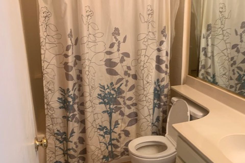 Img 2169