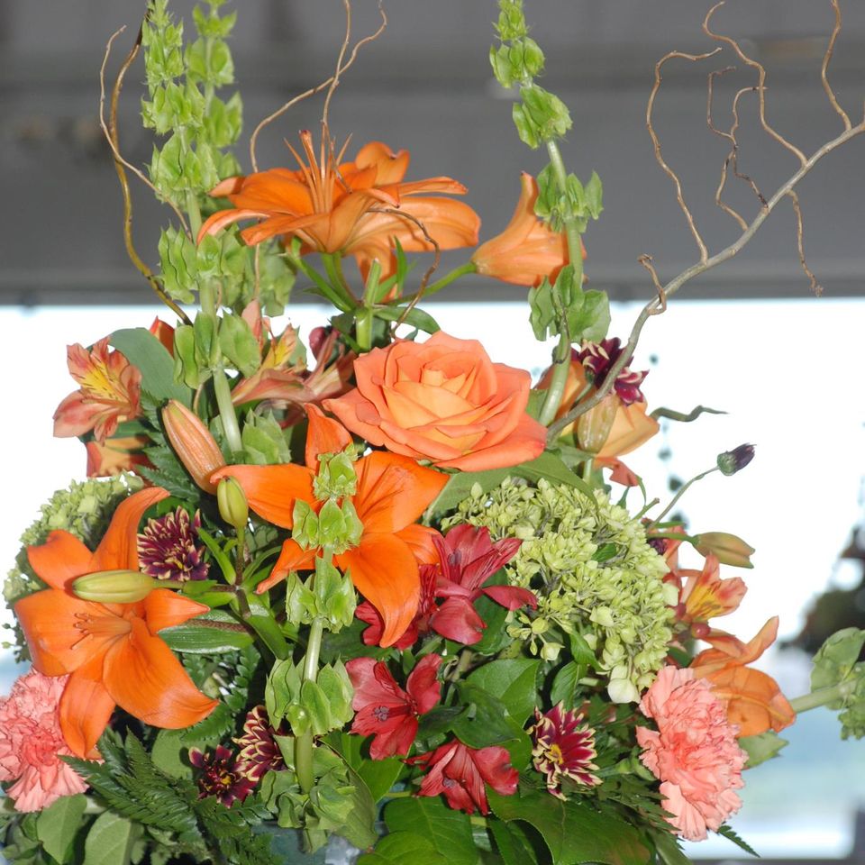 555961636 31963560079909169 4809915455640970059 n