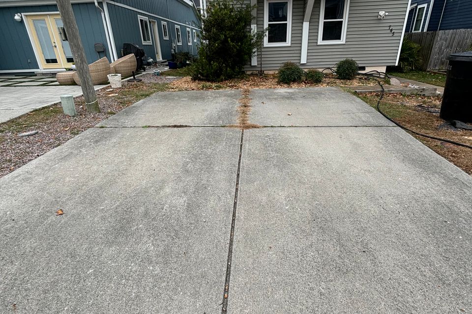 Img 0309