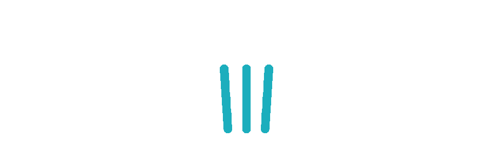 Bin 960x
